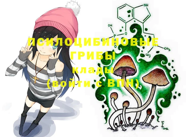 jwh Дмитров