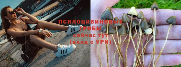 экстази Гусиноозёрск